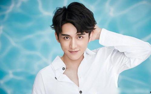 张新成的最新爆料,幕后故事与心路历程 第1张 张新成的最新爆料,幕后故事与心路历程 第1张