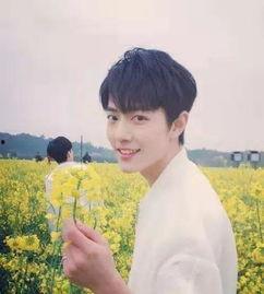 博主爆料杨紫肖战视频,甜蜜瞬间引网友热议  第2张